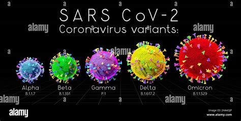 Sars Cov Covid Variantes Du Coronavirus Alpha B Ta Gamma