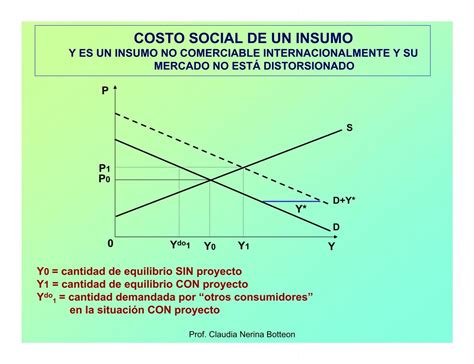 Costo Social De Un Insumo