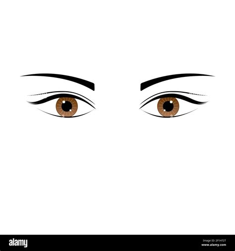 Brown Eye Ball Clip Art