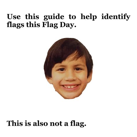 Julian Rodgers Beginners Guide To Flags The Sundial Humor Magazine