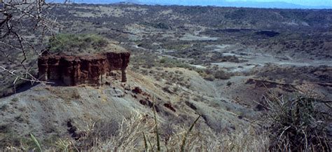 La Garganta De Olduvai Un Enclave Para Entender El Origen Y La