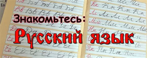 Знакомьтесь: русский язык | Давайте поближе познакомимся с языком, на ...