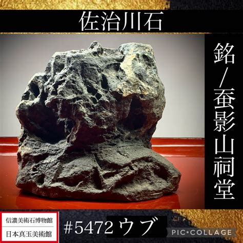 【傷や汚れあり】【信濃美術石博物館】 水石 盆栽 佐治川石 ウブ 横13×高12cm148kg骨董盆石古美術鑑賞石観賞石太湖石中国古玩