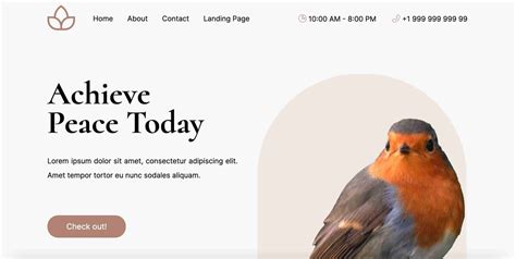 Creative Website Templates: 30 of our Favorites