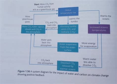 Water And Carbon Cycle Feedbacks Flashcards Quizlet