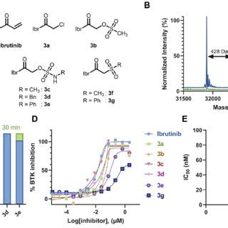 Ibrutinib Sulfamates As Potent BTK Inhibitors A Chemical Structures