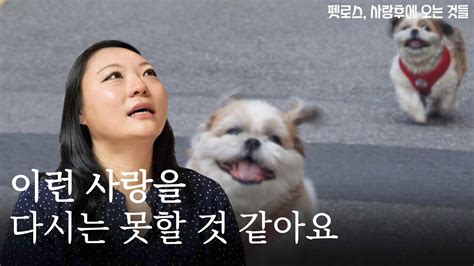 반려인과 반려견이 함께 쓰는 사랑시ㅣ펫로스 사랑 후에 오는 것들ㅣ세계일보x심리예술공간 살다 Youtube