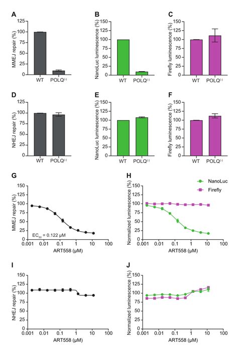 Assessment Of Dna Double Strand Break Repair Activity Using High