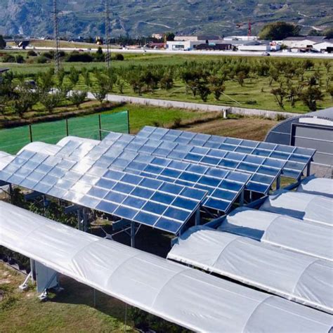 Agrivoltaico Una Strada Necessaria Per La Sostenibilit Energetica