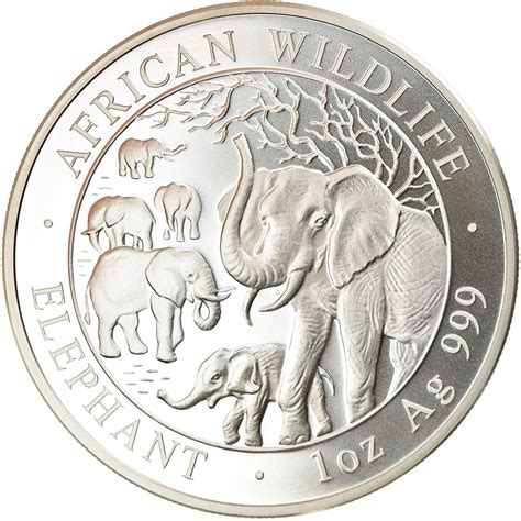 Silver Ounce 2008 African Wildlife Elephant Coin From Somalia