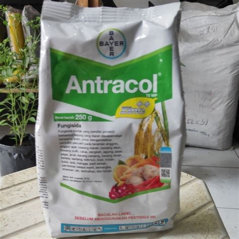 Jual Fungisida Antracol 70 WP 250 Gr Shopee Indonesia