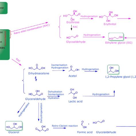 Scheme Ix Reaction Pathways Involved In Cellulose Transformation To Eg