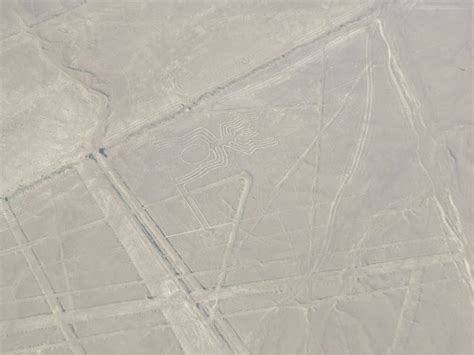 The enigmatic Nazca Lines: The mysterious geoglyphs of Peru - History ...