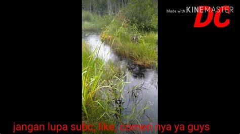 Mancing Mania Di Sungai Rawa YouTube