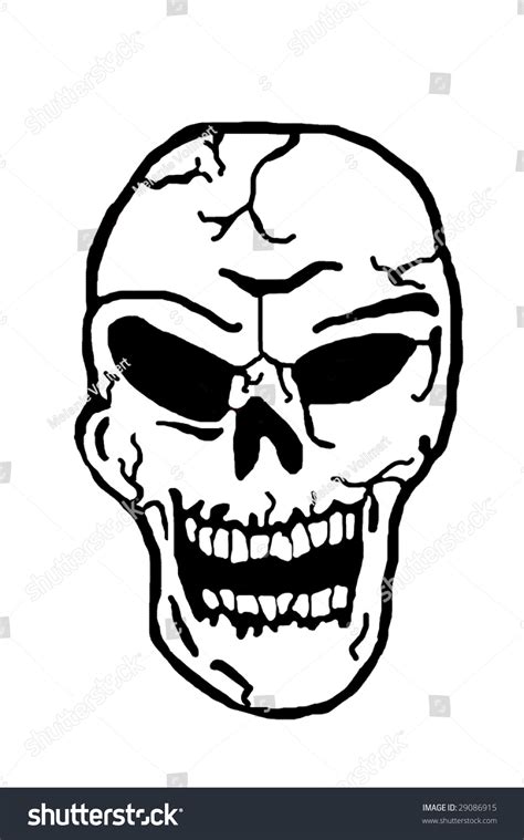 Skull Illustration - 29086915 : Shutterstock