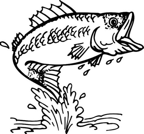 Beautiful Trout Coloring Pages for Kids - Coloring Pages