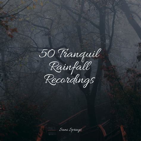 50 Tranquil Rainfall Recordings Album By Sleep Sounds Spotify