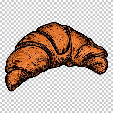 Premium Vector Croissant Drawing A Croissant With A Croissant Png