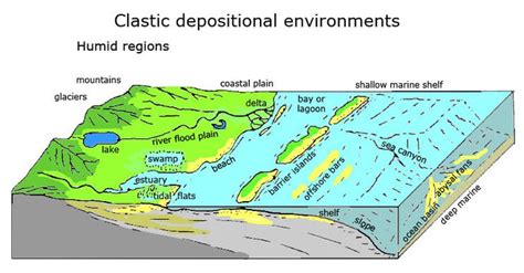 Clastic Depositional Environments Geology Coastal Plain Estuary