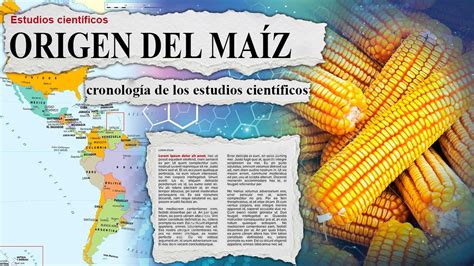 El nuevo origen del Choclo Maíz explicado cronología de los