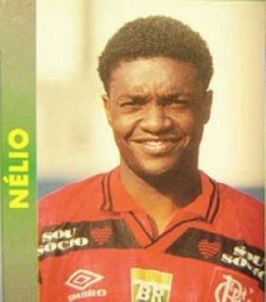 N Lio Wiki Clube De Regatas Do Flamengo Amino