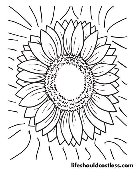 Sunflower Coloring Pages Free Printable Pdf Templates Life Should