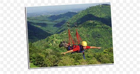 Toro Verde Nature Adventure Park Orocovis San Juan, PNG, 572x438px, Adventure, Adventure Park ...