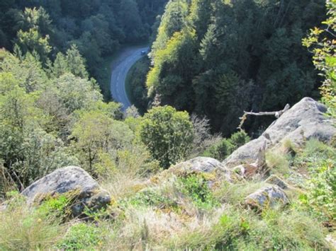 Rennrad Schwarzwald Weizen Obere Alp Birkendorf Schl Chttal