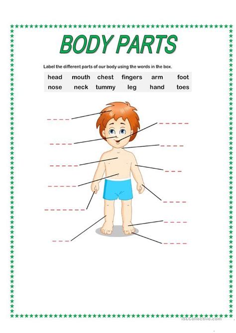 Body Parts English Esl Worksheets For Distance Learning And Physical