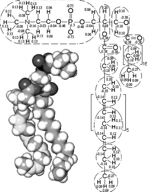 Chemical Structure Of 1 Stearoyl 2 Docosahexaenoyl Sn Download Scientific Diagram