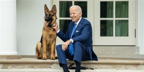 Biden's White House Pets: Dog Reportedly Bit Secret Service Agents