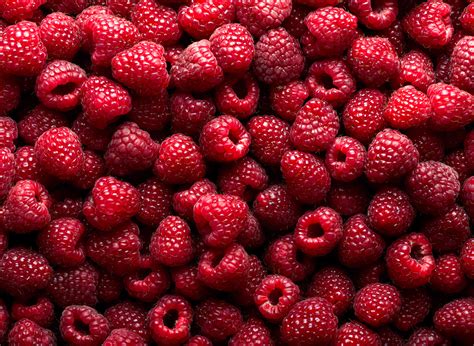 Introduction To Raspberries Food Gardening Network