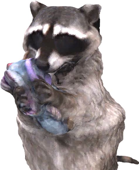 Raccoon Png Free Download Raccoon Transparent - Clip Art Library