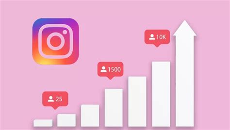 Top 10 Websites To Buy Instagram Followers At Low Price