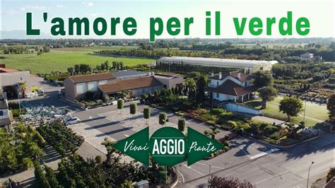 Cosa Propone Aggio Vivai Il Verde Del Nostro Garden Una Storia Green