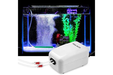 The Top Best Aquarium Air Pumps For A Healthy Fish Tank All Happy Fish