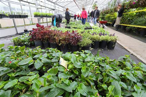 City’s Annual Plant Sale Ready This Saturday Windsoritedotca News Windsor Ontario S