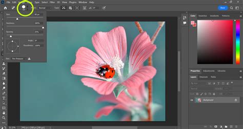 How To Use The Spot Healing Brush In Photoshop