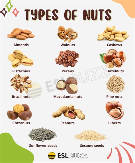 Different Types Of Tree Nuts Wholesale Prices Pinnaxis