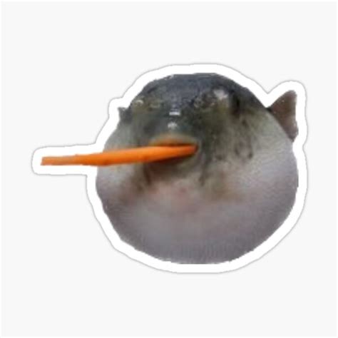 "Puffer fish eating a carrot " Sticker by aestheticjas | Redbubble