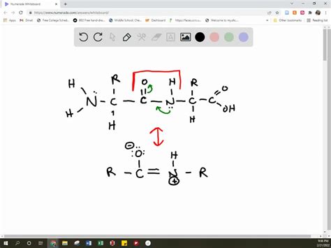 Solved Draw The Two Resonance Structures Of The Peptide Bond In Lv Use Your Drawings To