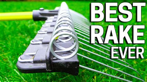 Best Lawn Rake Raking Leaves Dethatching Fall Cleanups Youtube