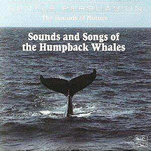 Sounds & Songs of the Humpback - Sounds & Songs of the Humpback Whale ...