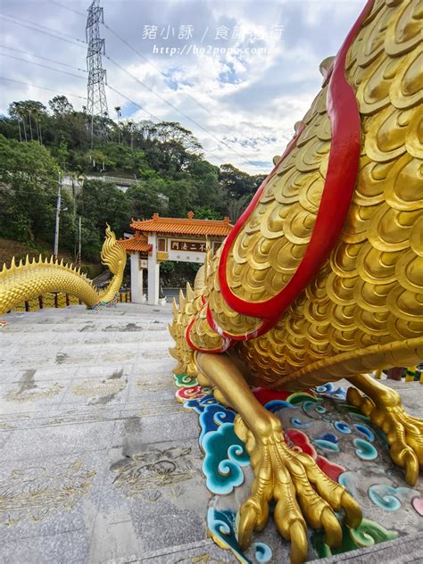 南投。中寮》金龍山法華寺。長達110米的亞洲最大金龍雕像 豬小詠的食旅隨行