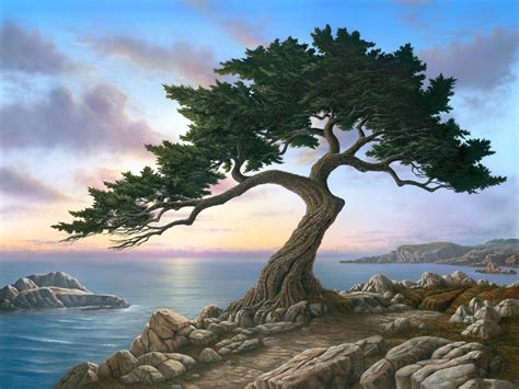 Monterey Cypress – PoFineArt