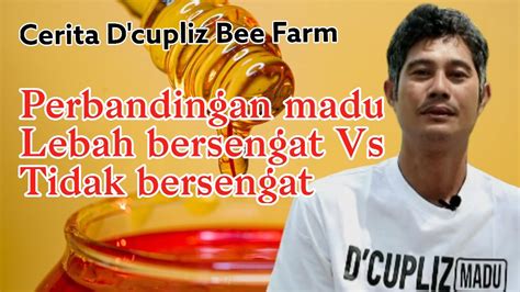 D Cupliz Bee Bagaimana Lebah Menghasilkan Madu Perbedaan Madu Lebah