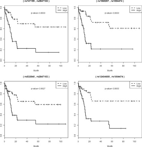 Kaplan Meier Curves For The High Risk And Low Risk Groups Attributed By