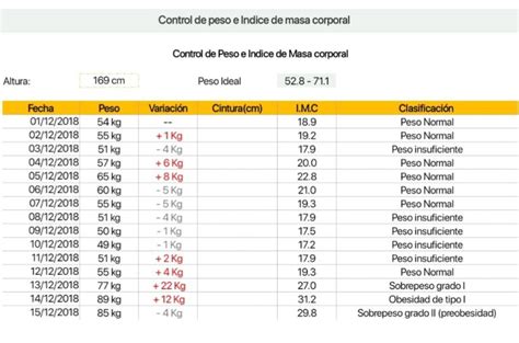 Plantilla Excel Control De Peso Diario Descarga Gratis