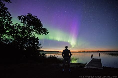 Minnesota Northern Lights Viewing and Photography | 365 Days of Birds