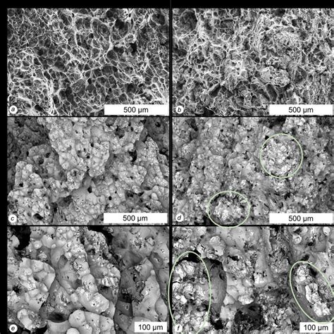 Comparison Of Fracture Surfaces Fractography After Fracture